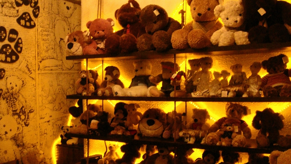 泰迪之家的泰迪熊