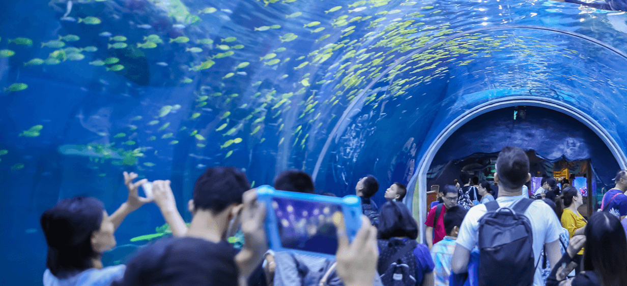 【上海海昌海洋公園3】虎鯨海豚企鵝、北極熊、海象海獅海豹海牛 19