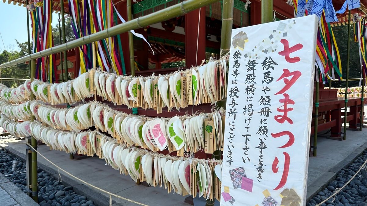 江之島小町通旅遊：特濃抹茶冰淇淋和生魚片 37